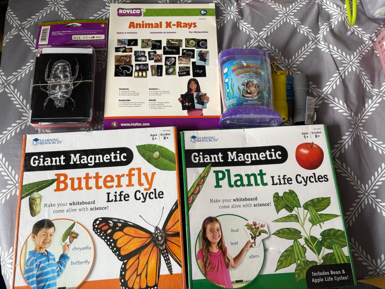 Learning Resources and Roylco Science Education Bundle