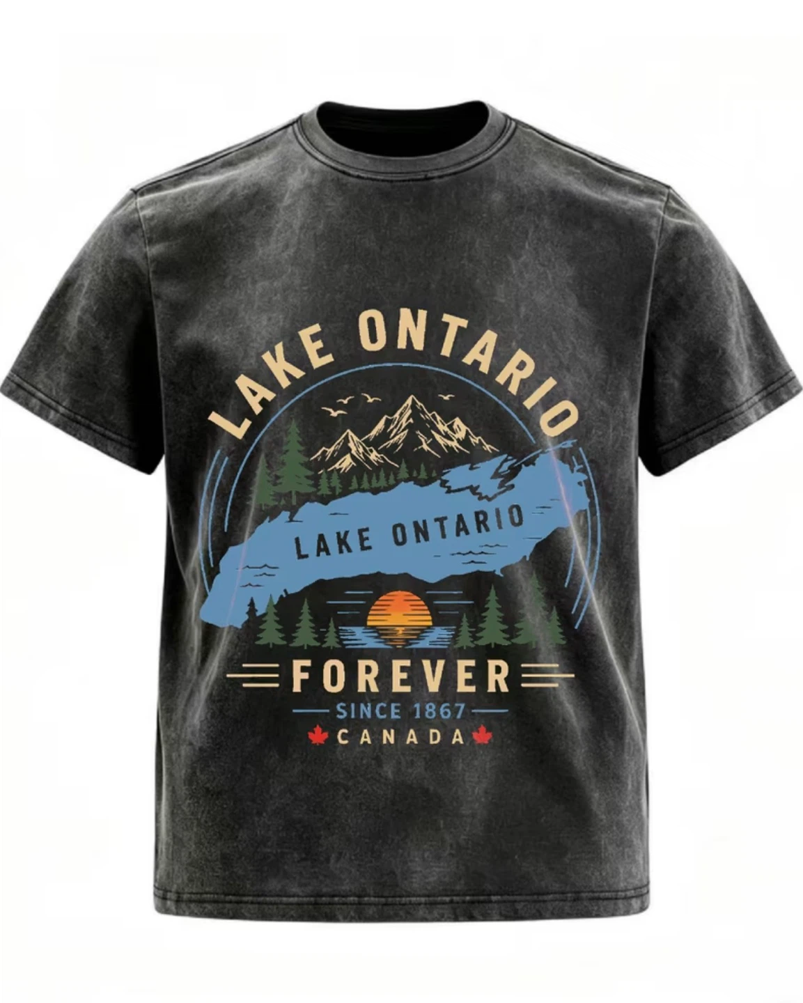 Lake Ontario Graphic T-Shirt 100% cotton vintage style