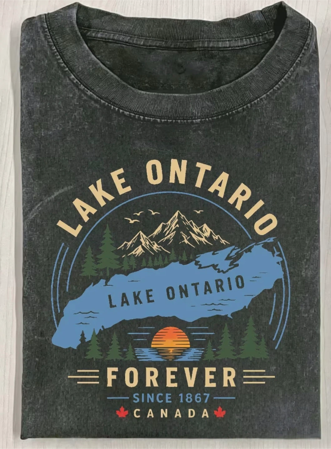 Lake Ontario Graphic T-Shirt 100% cotton vintage style - photo 2