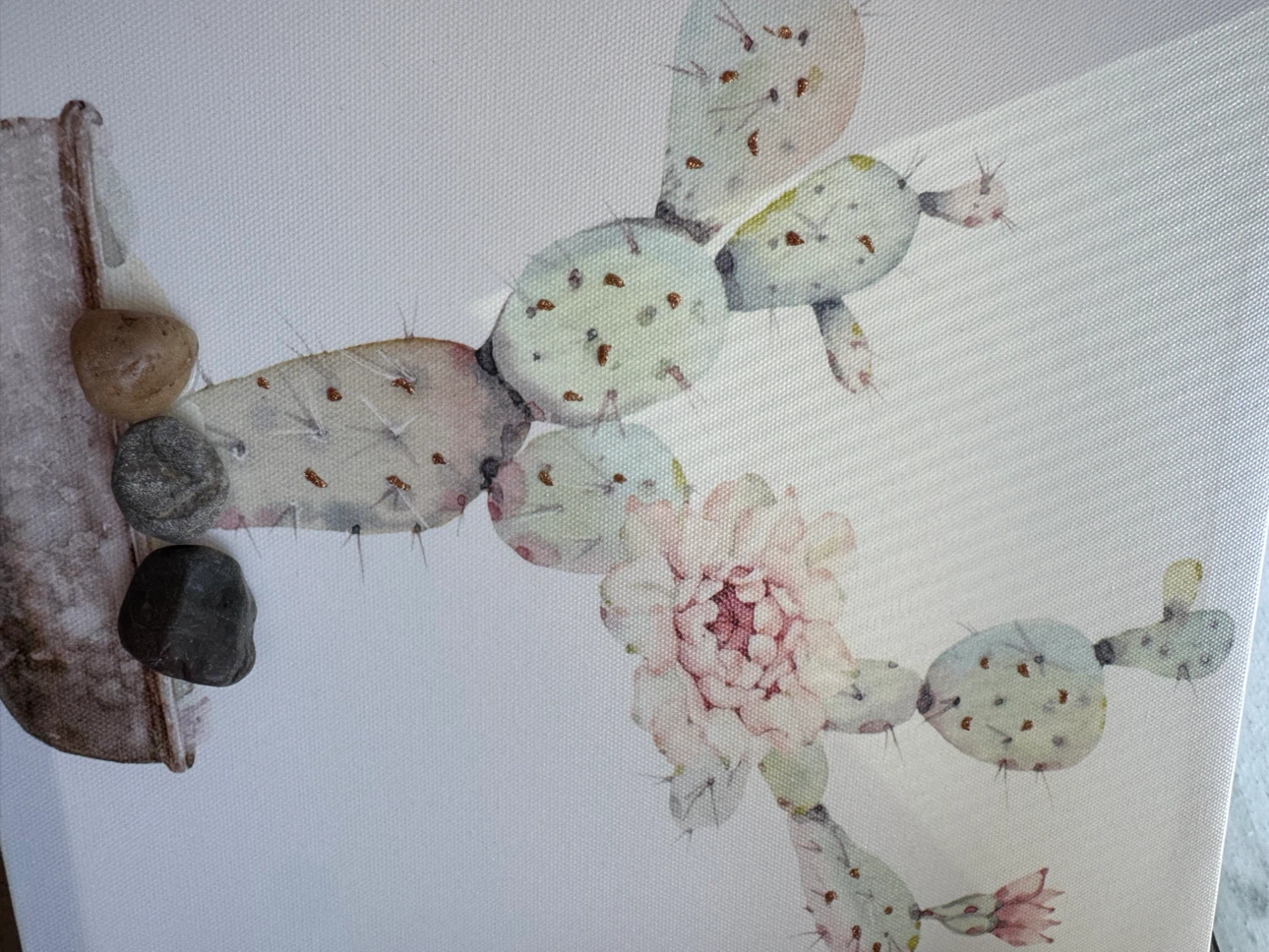 Designer’s Cactus Canvas Wall Art - photo 4