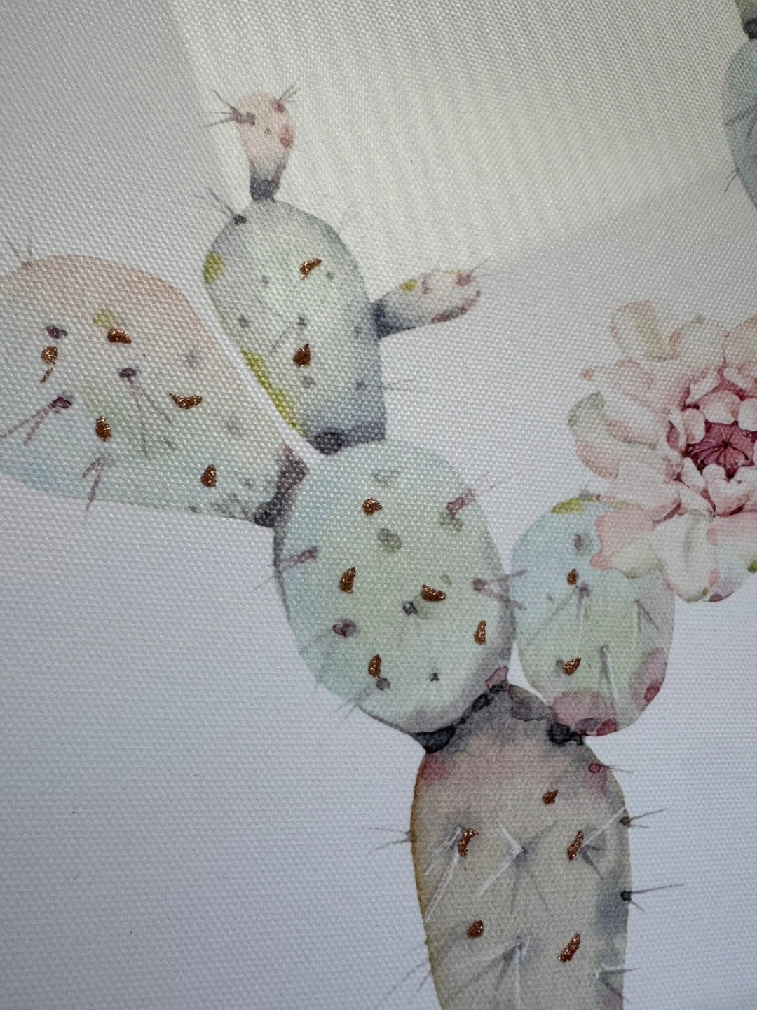 Designer’s Cactus Canvas Wall Art - photo 5