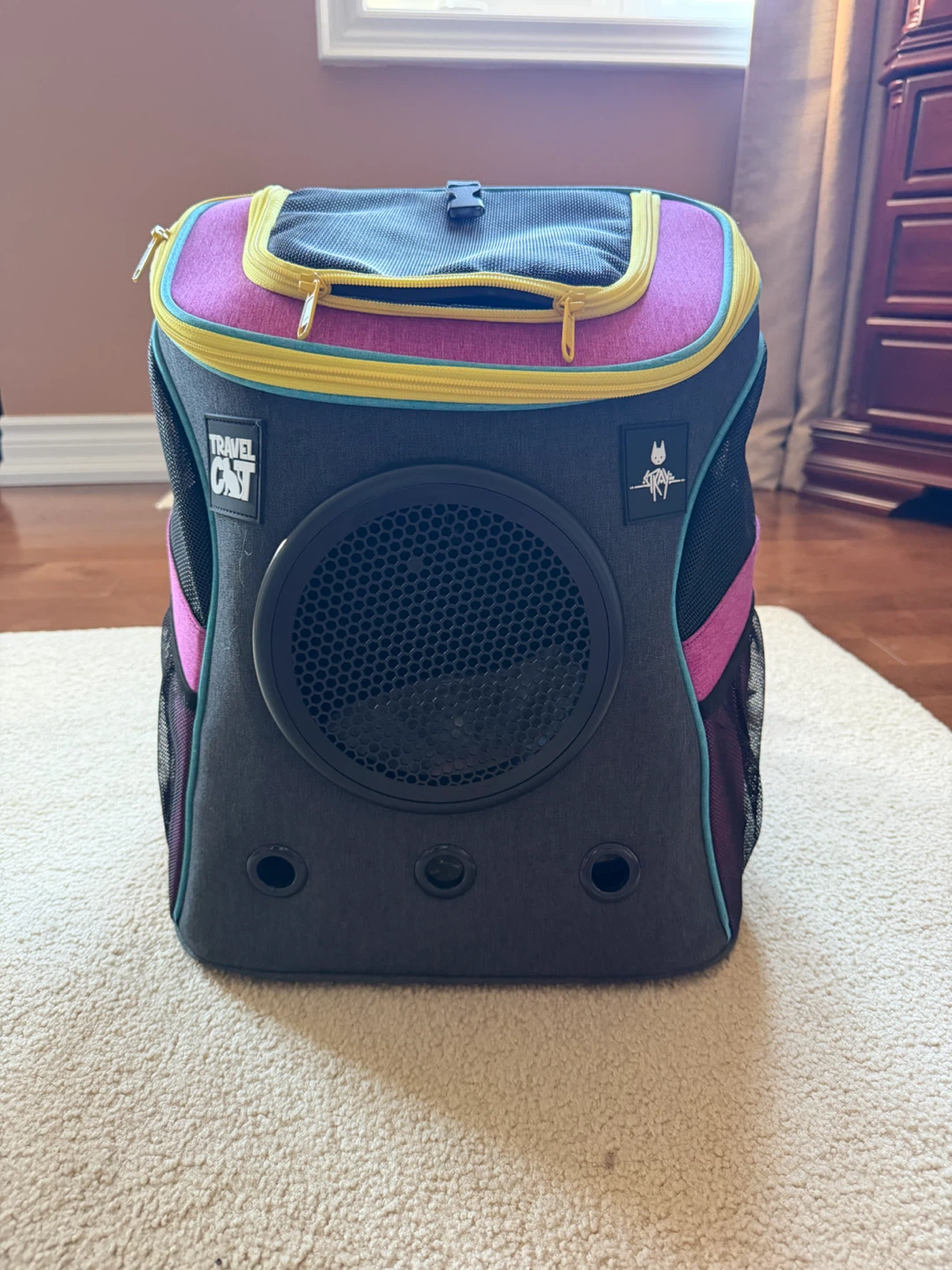 Travel Cat Stray Cat Backpack