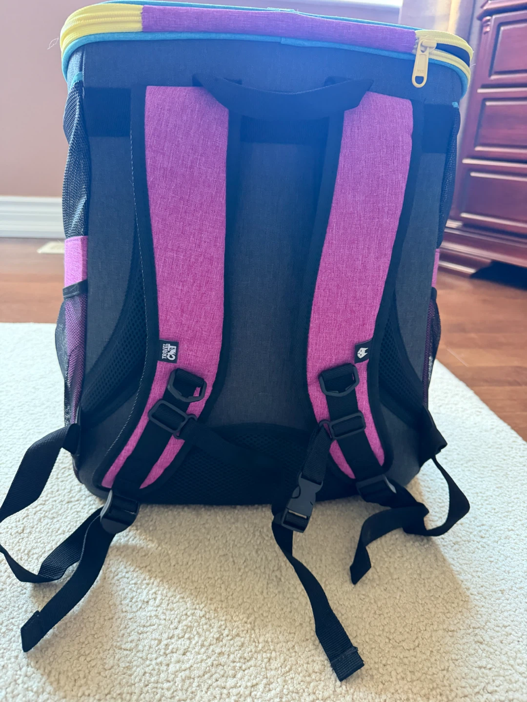 Travel Cat Stray Cat Backpack - photo 2
