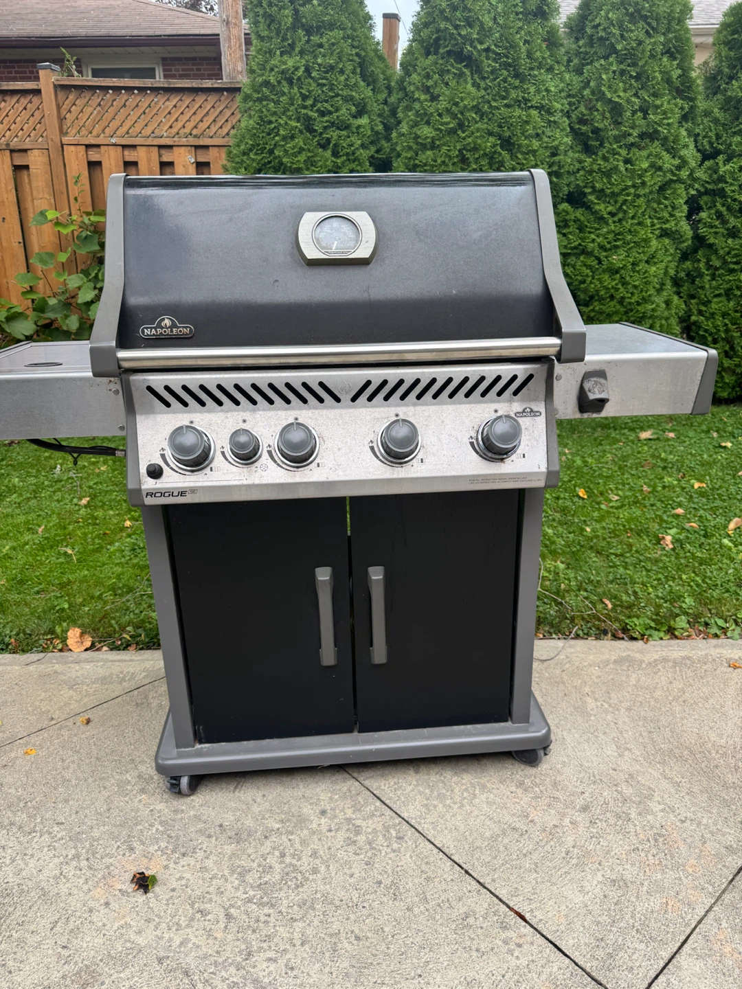 Napoleon Rogue Gas Grill