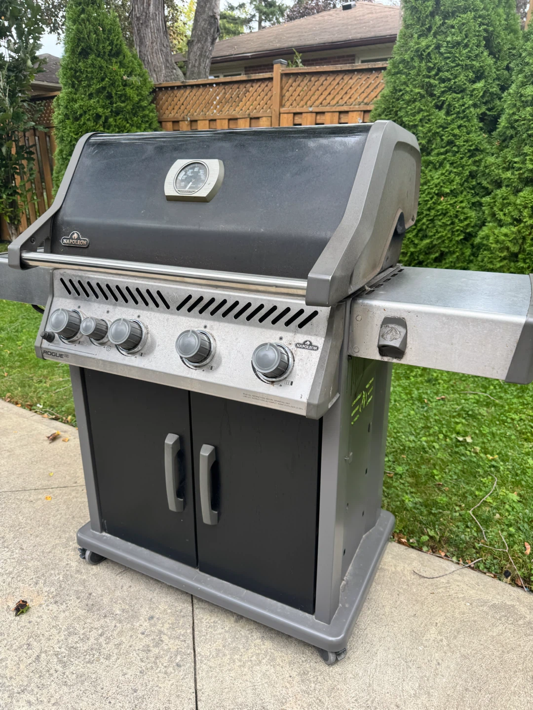 Napoleon Rogue Gas Grill - photo 2