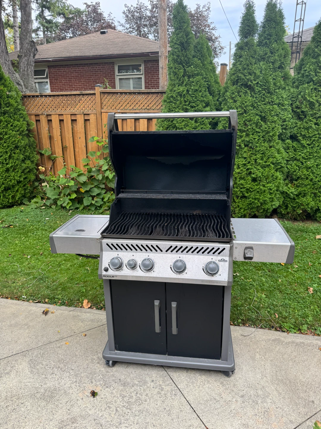 Napoleon Rogue Gas Grill - photo 3