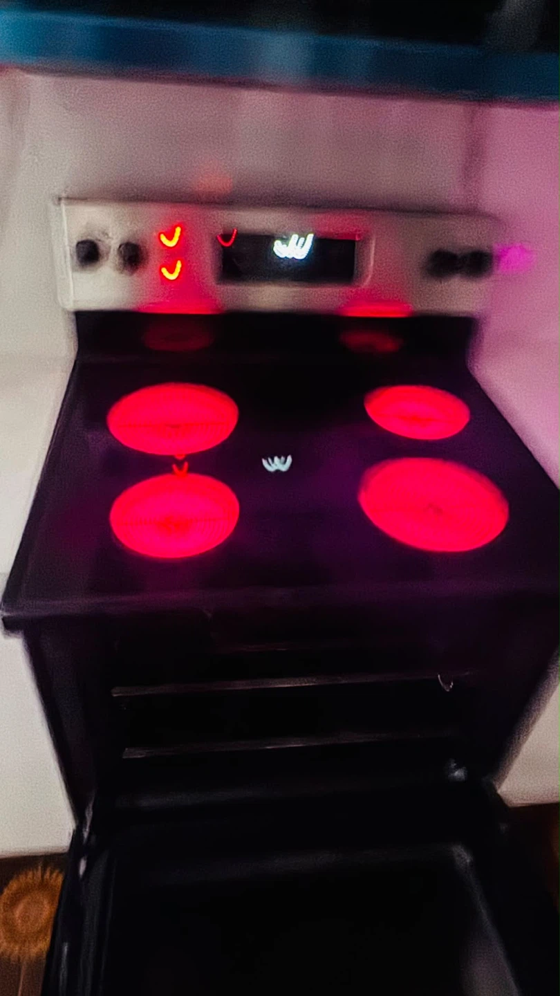 GE Stainless Steel Electric Range