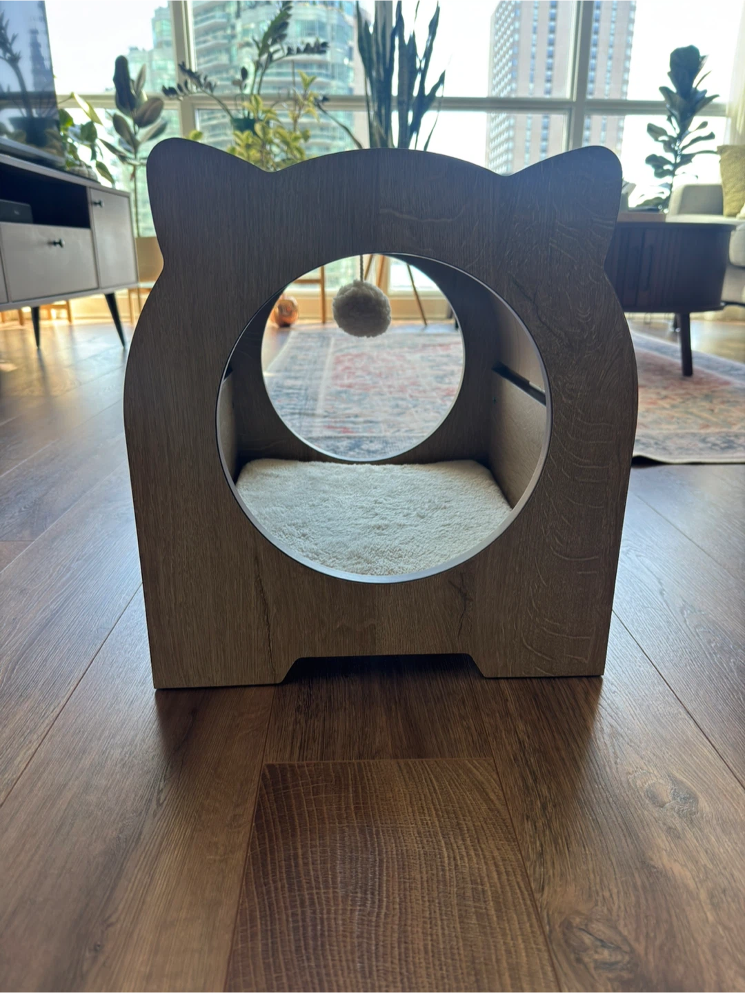 Cat Scratching Lounge House - photo 2
