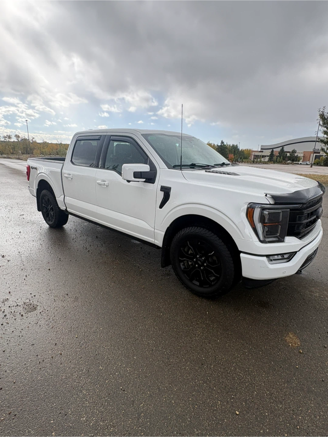 White Ford F-150 4x4 - photo 3