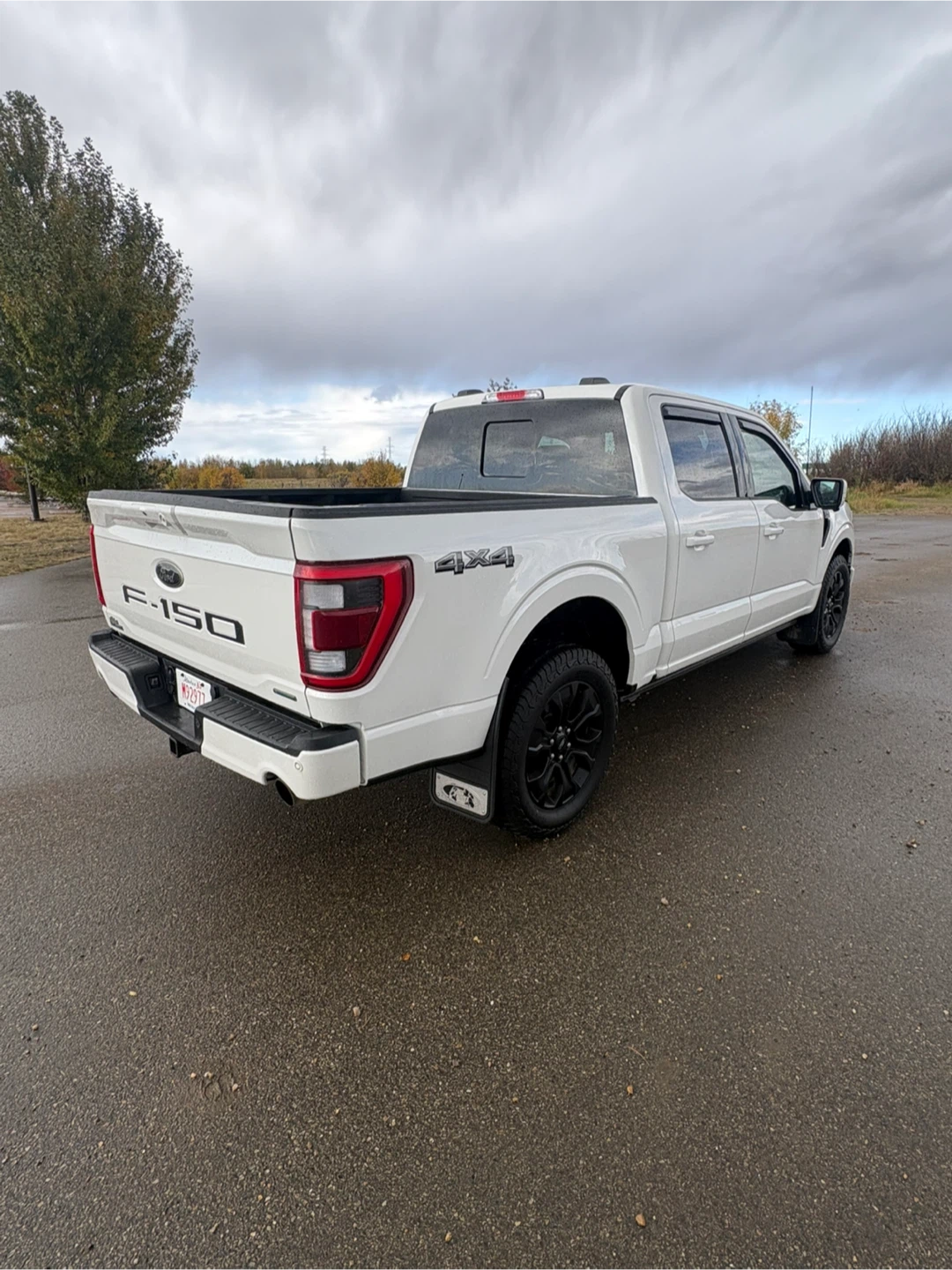 White Ford F-150 4x4 - photo 4