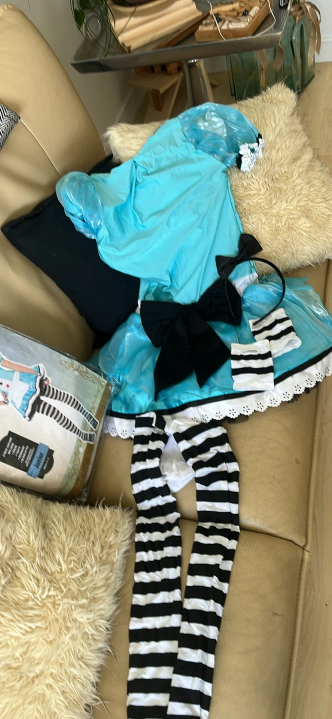 Clever Alice Junior Costume Small 3-5 - photo 2