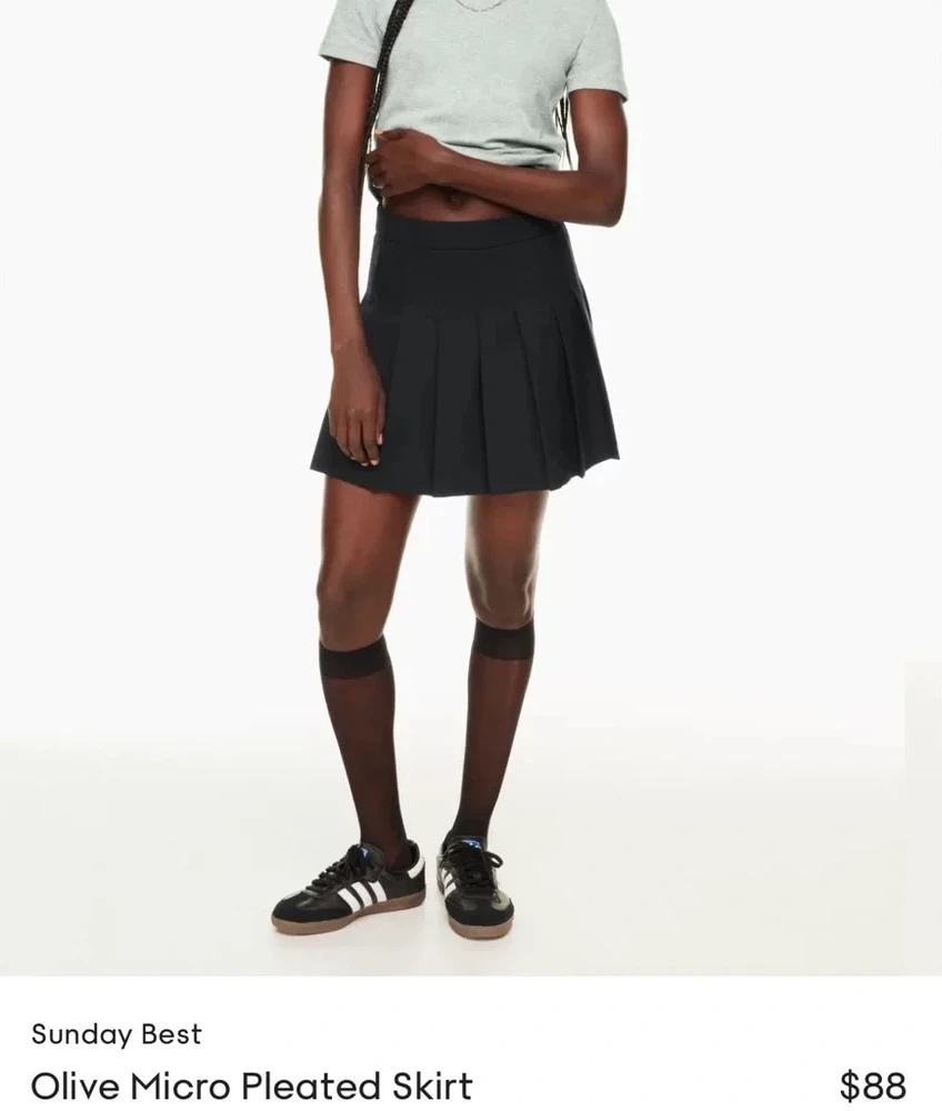 Brand New Sunday Best Micro Pleated Skirt — Size 00