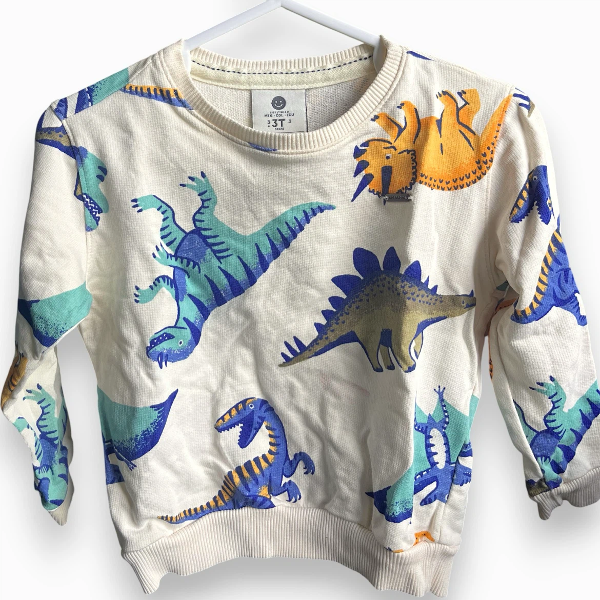 Offcorss Dinosaur Print Sweatshirt 3T