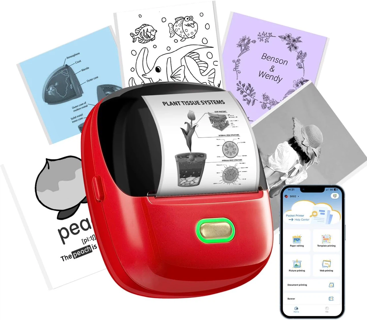 ORGSTA Sticker Printer, 300DPI