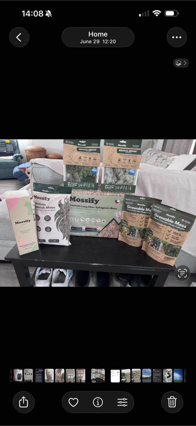 Mossify Gardening Supplies Bundle