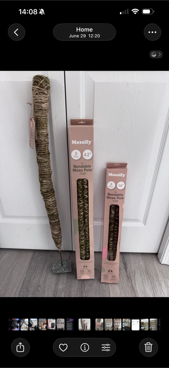 Mossify Bendable Moss Poles