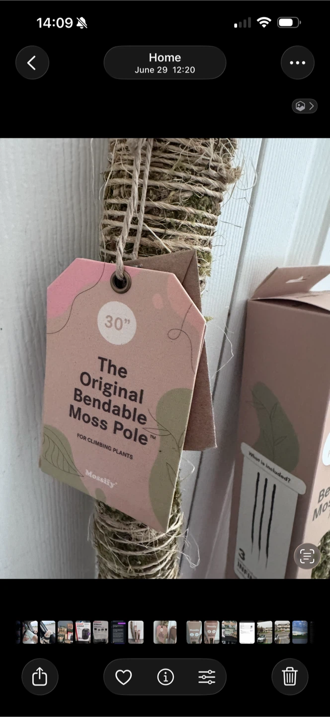 Mossify Bendable Moss Poles - photo 2