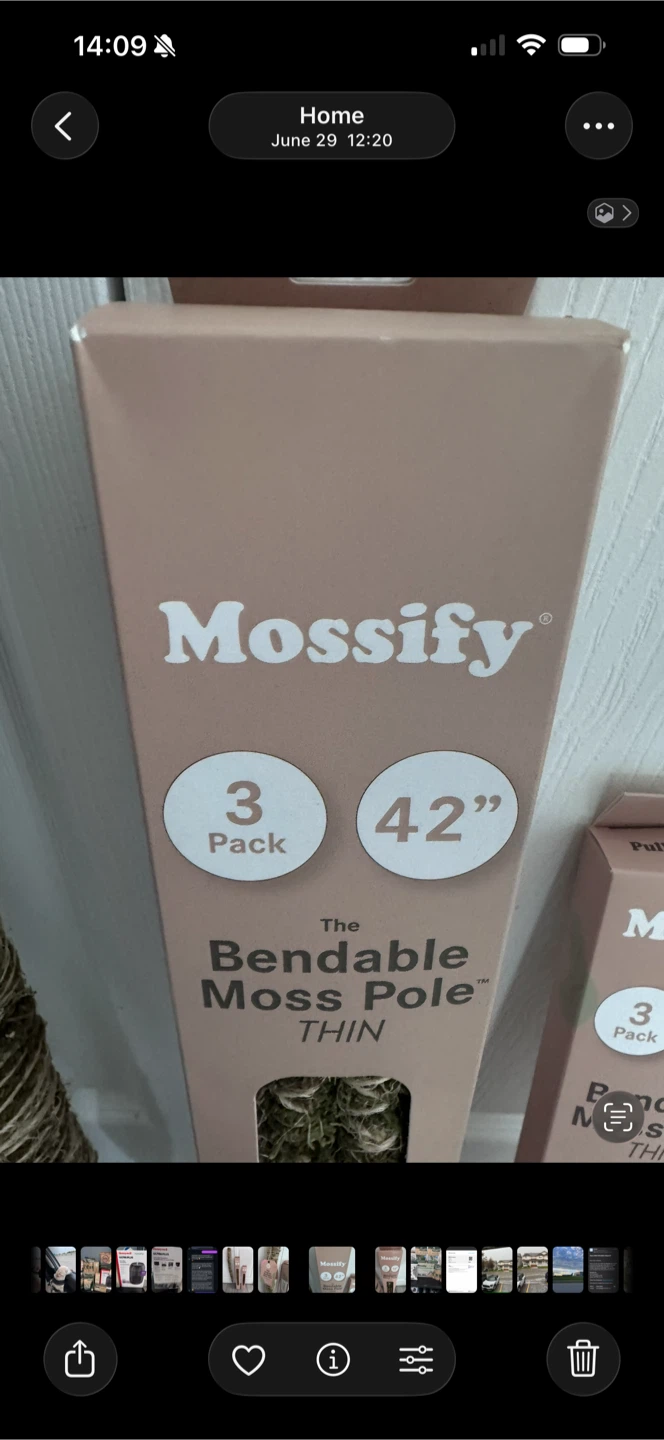 Mossify Bendable Moss Poles - photo 3