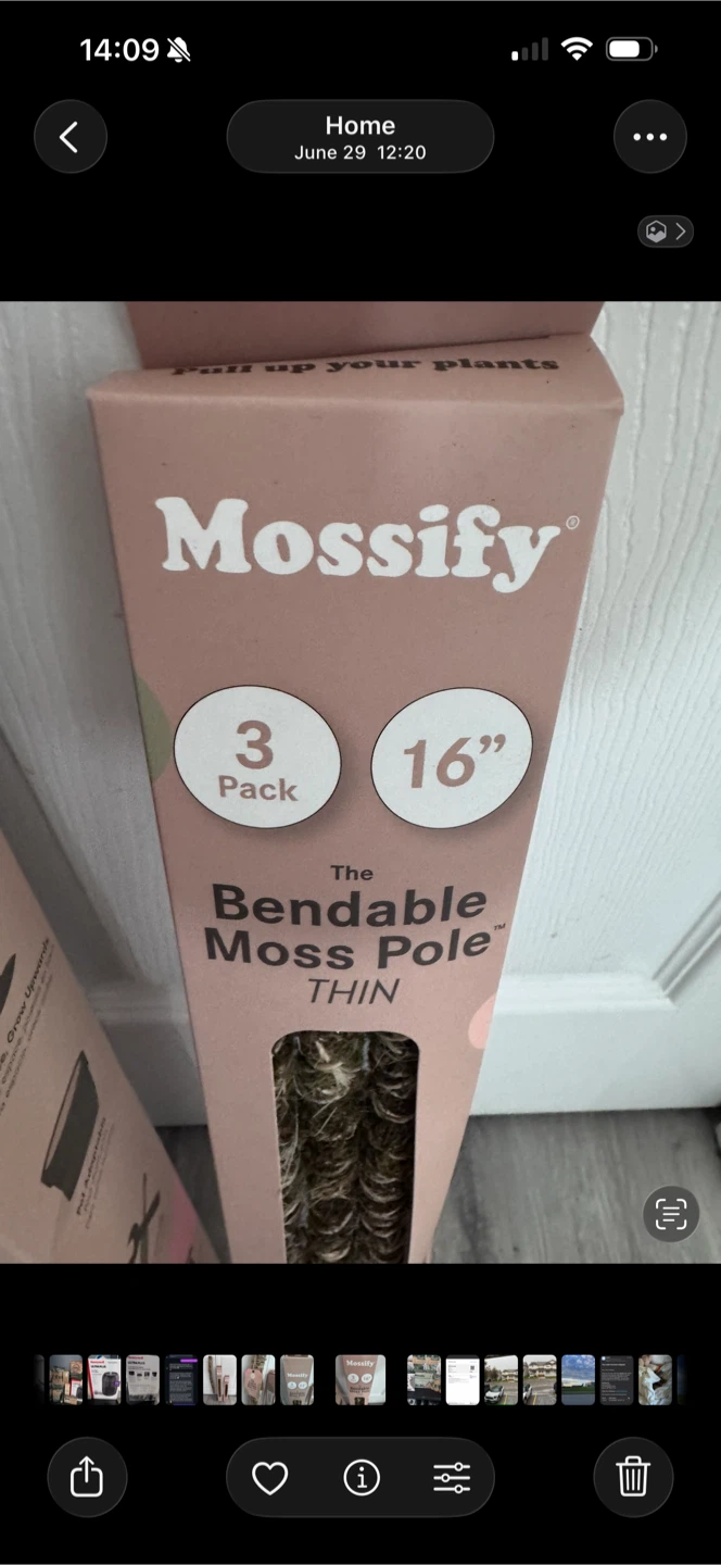 Mossify Bendable Moss Poles - photo 4