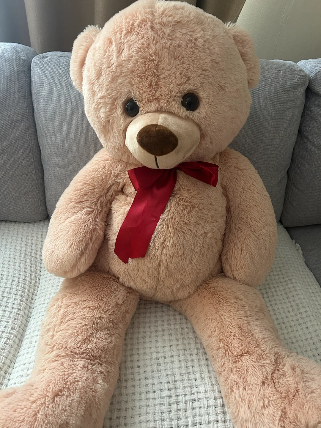 Teddy bear