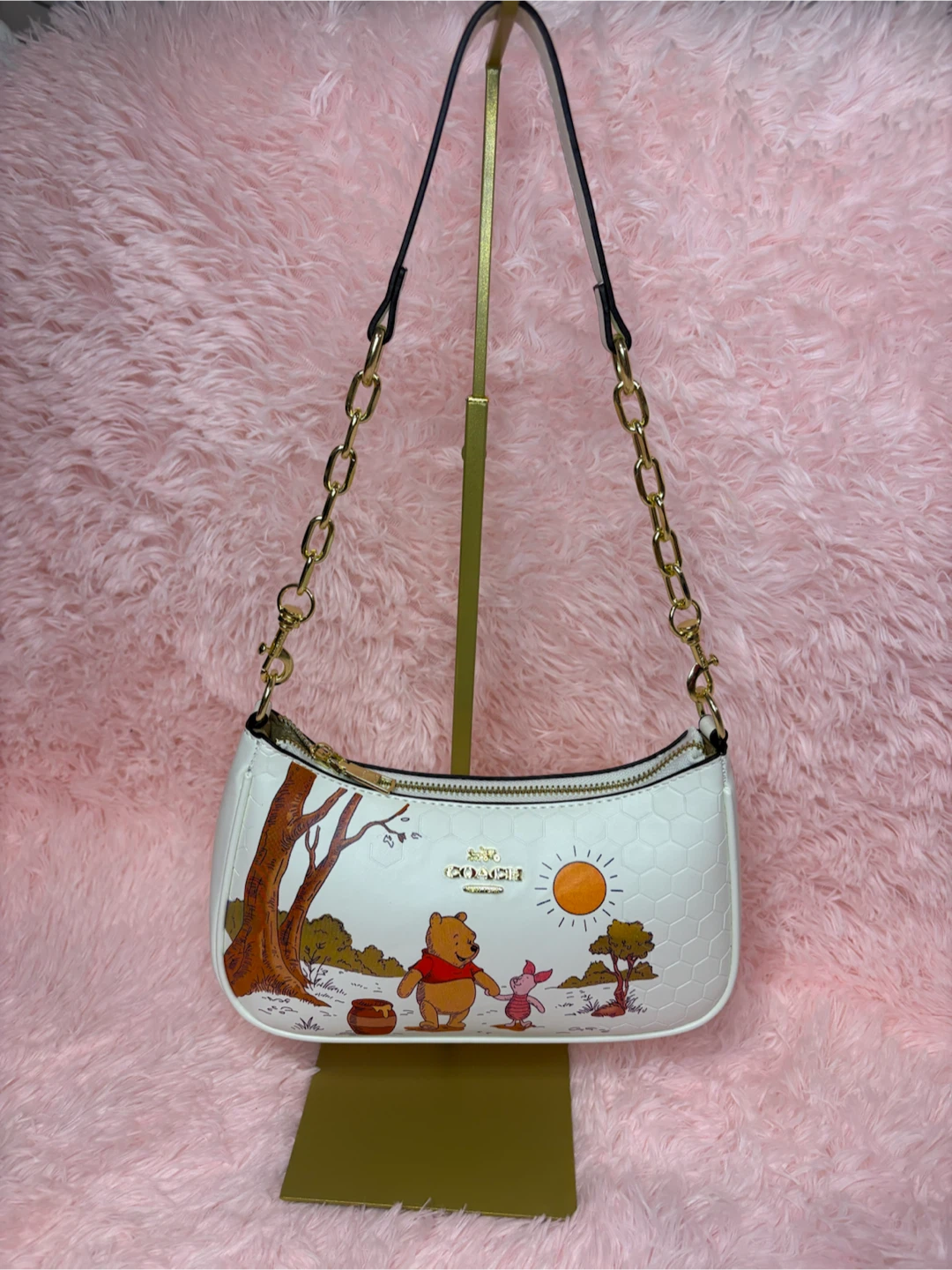 Hermosas coach