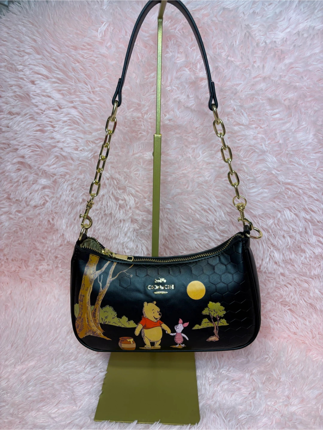 Hermosas coach - photo 2