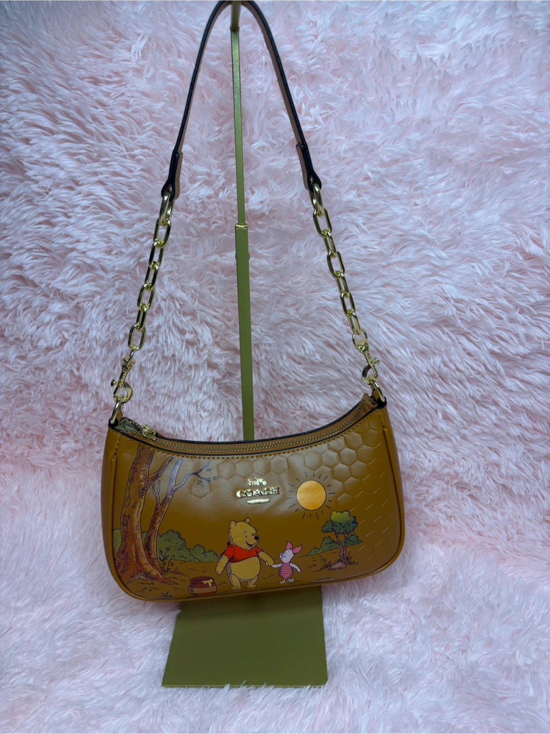 Hermosas coach - photo 3