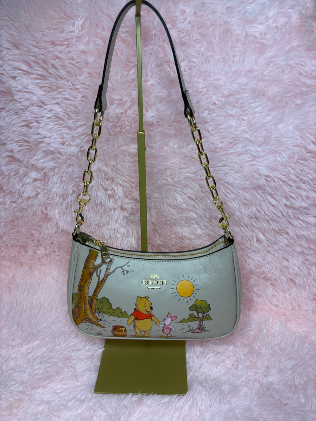Hermosas coach - photo 4