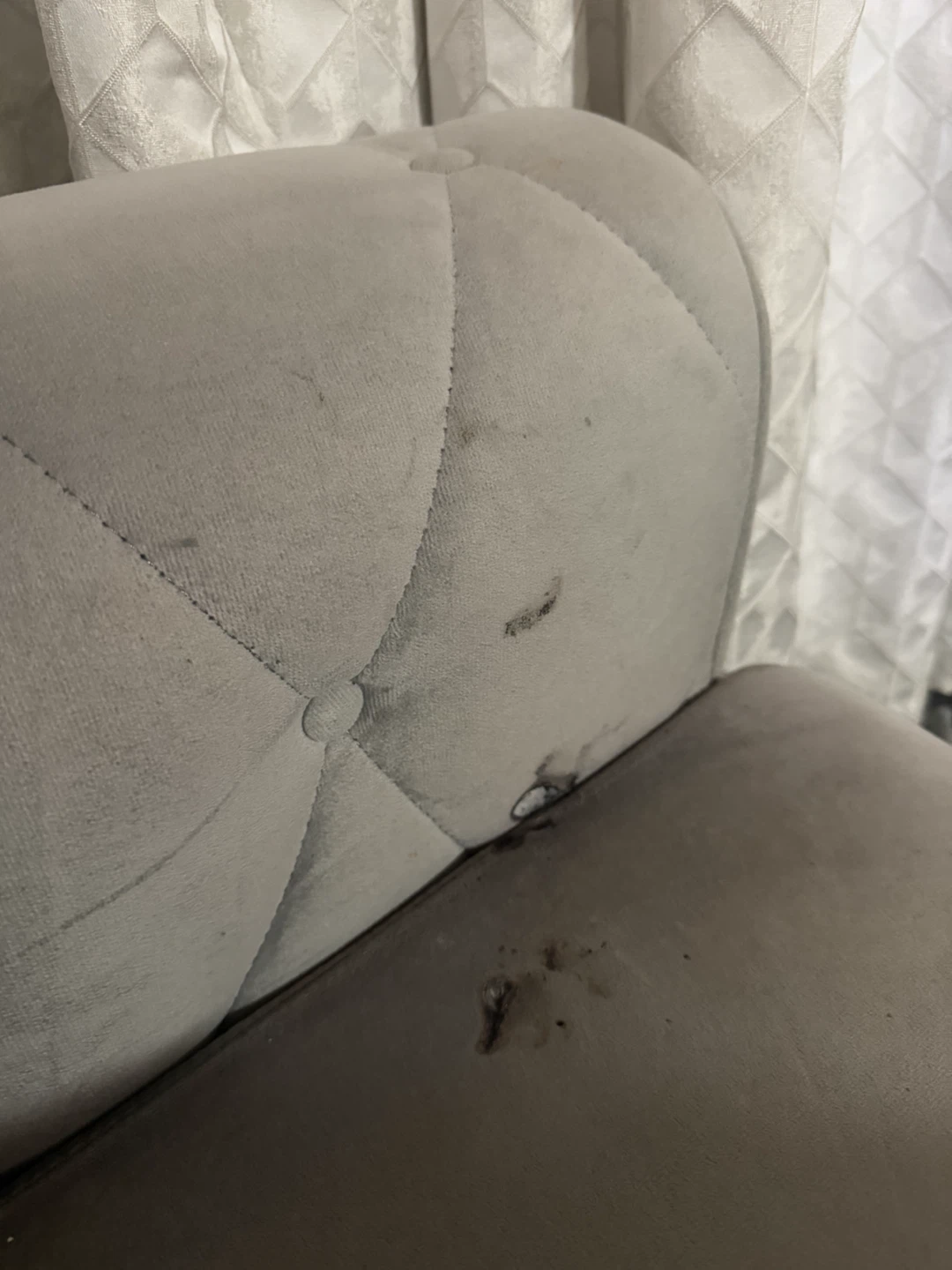 Gray Velvet Sofa Bed with Gold Accents - photo 3