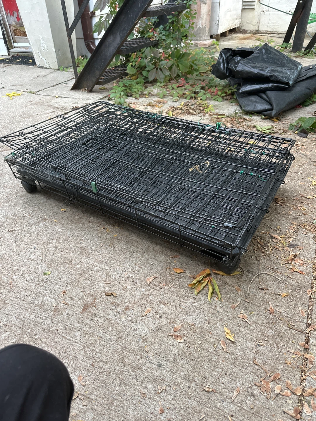 Collapsible Black Wire Pet Crate