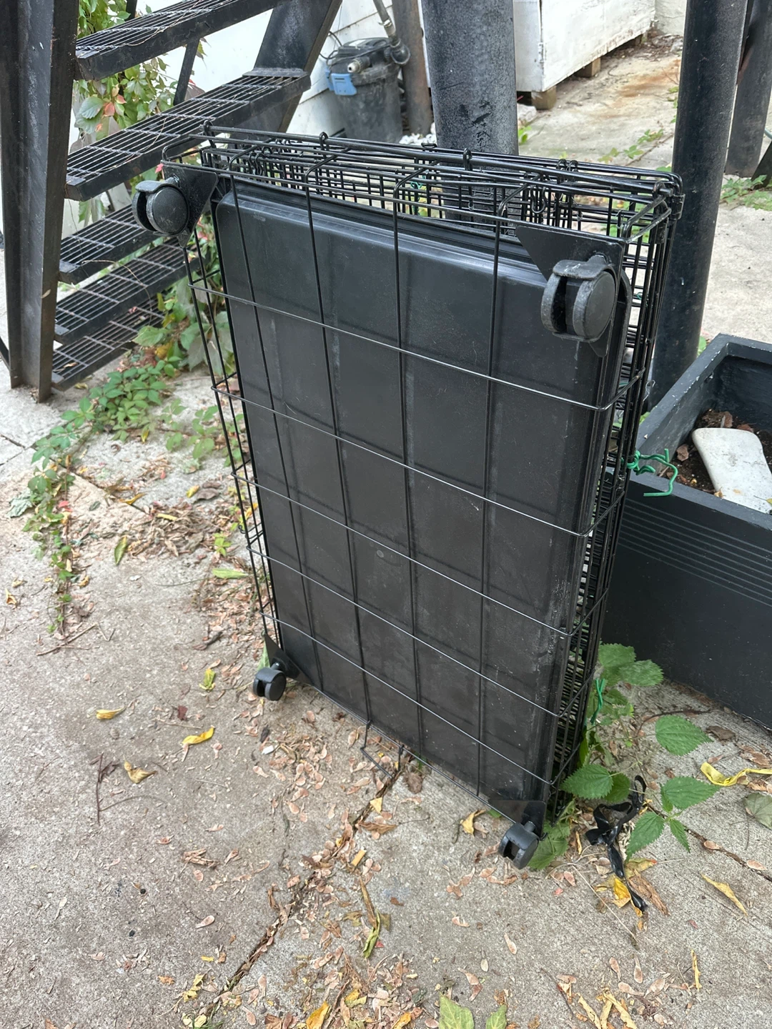 Collapsible Black Wire Pet Crate - photo 2