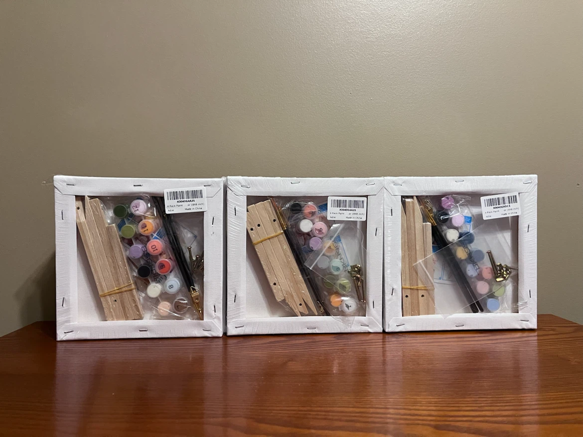 4 PACK ASSORTED PAINT BY NUMBERS KIT (8”x8” canvas) - photo 3