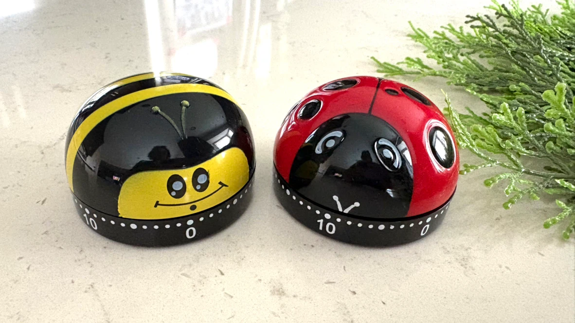 Set of Two Animal Kitchen Timers (Bee and Ladybug)