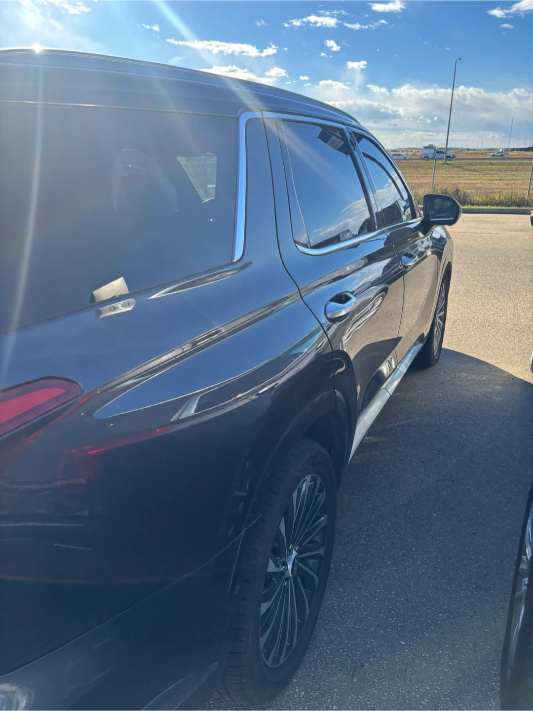 2025 Hyundai Palisade Ultimate - photo 4