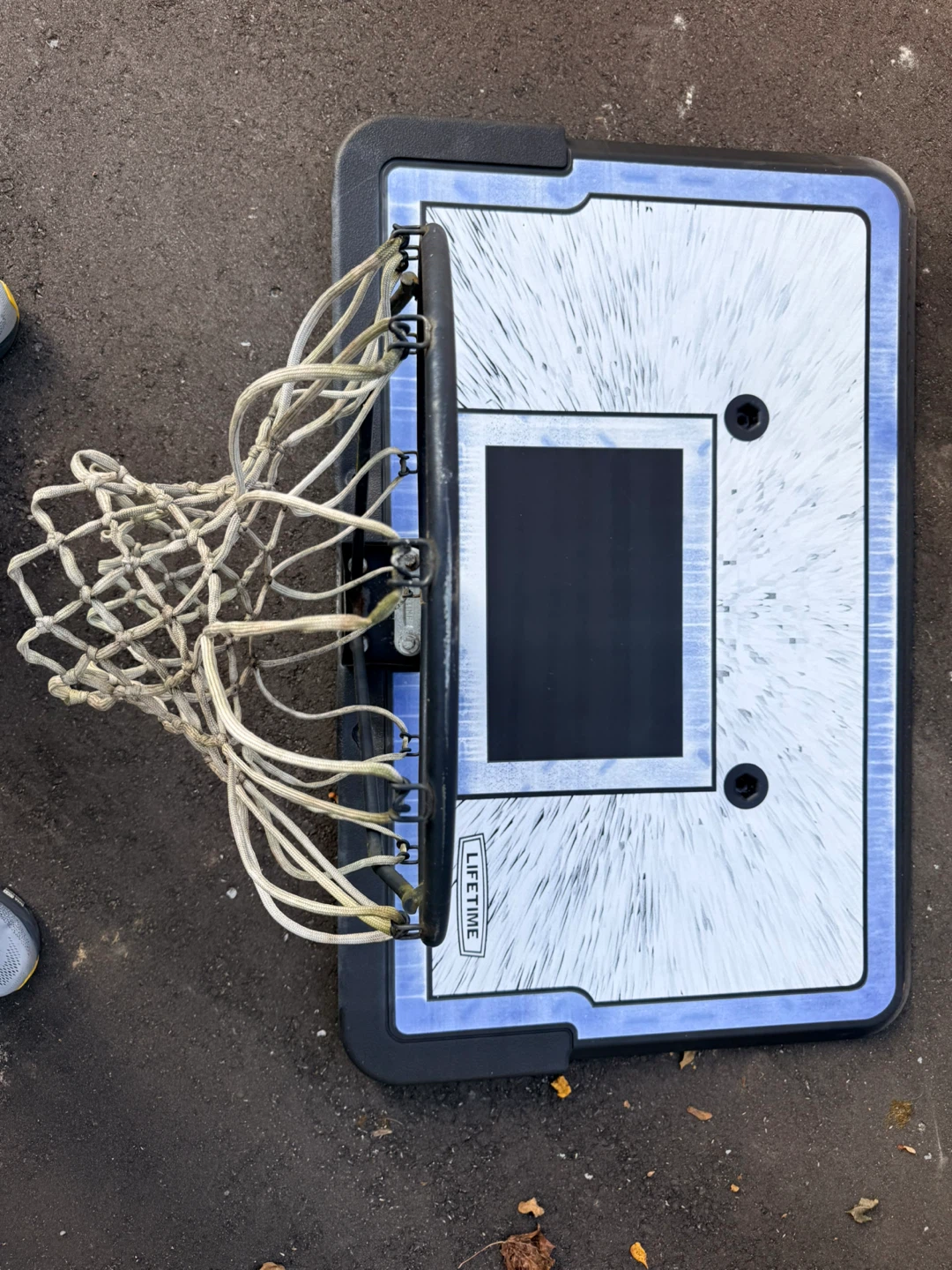 Lifetime Basketball Backboard and Rim