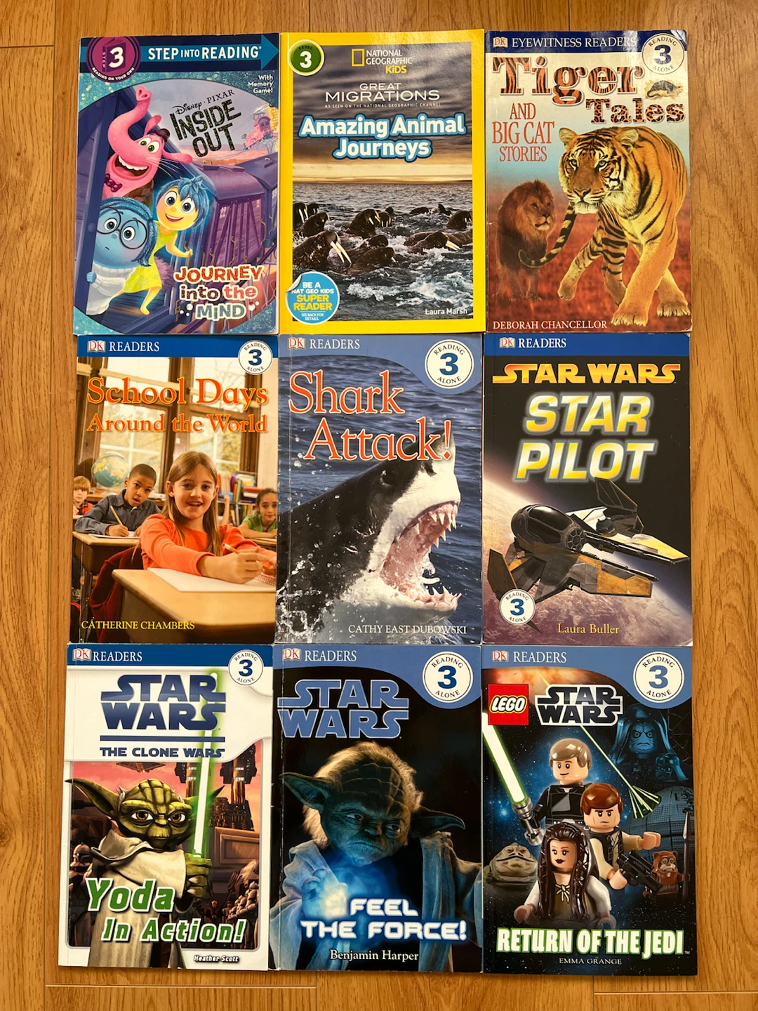 Level 3 Early Reader Books