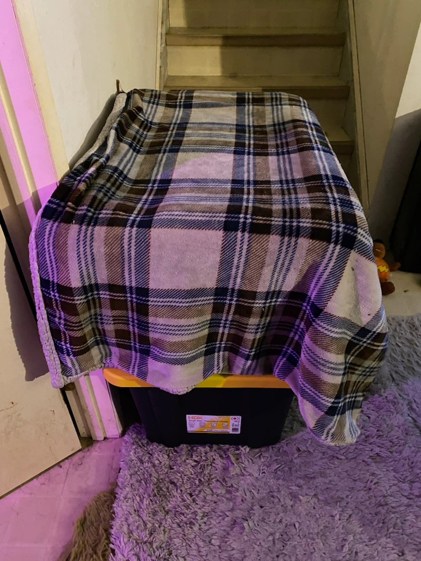 Plaid Fleece Throw Blanket - photo 2