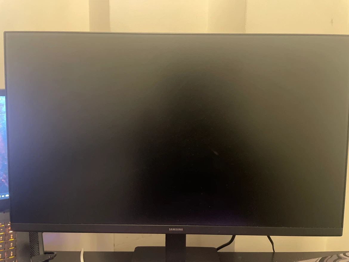 Samsung 24” 1080p 100Hz Monitor – LS24D300G