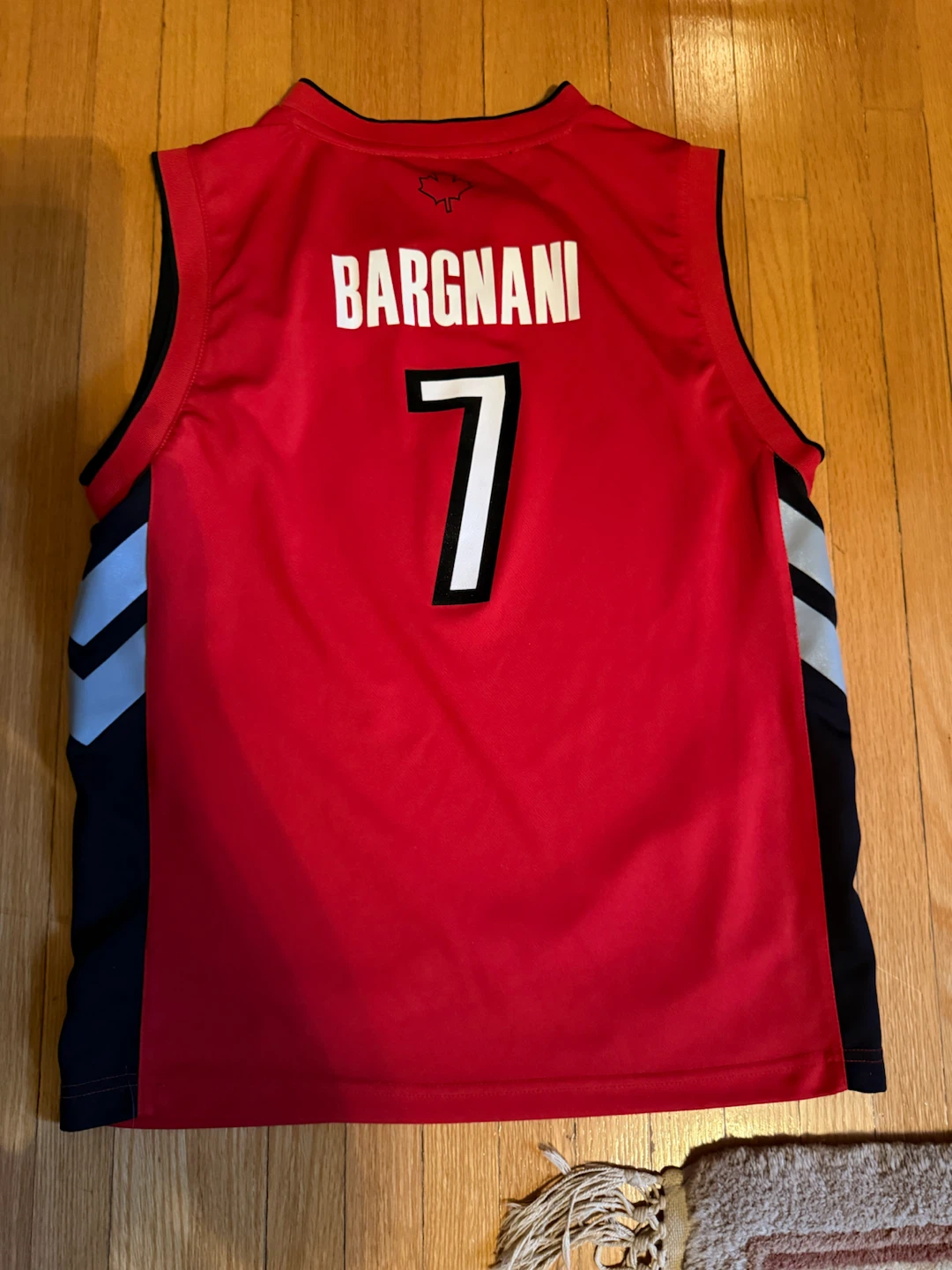 Adidas Andrea Bargnani Raptors Jersey Size L - photo 2