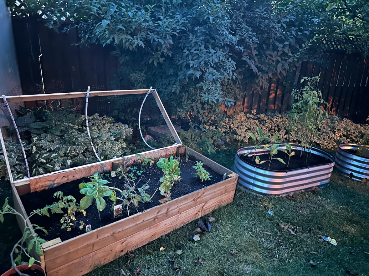 Durable Wooden Raised Garden Bed with Protective Cover - photo 2