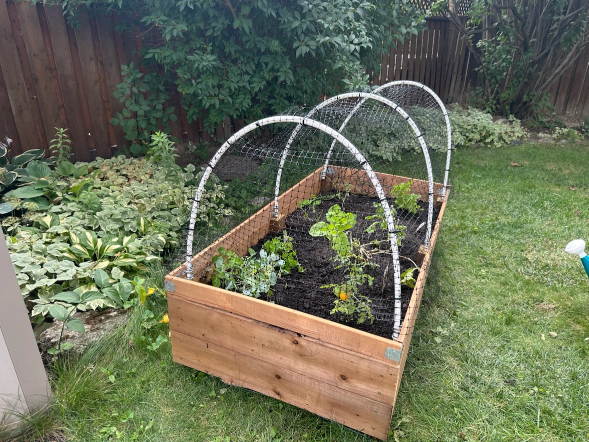 Durable Wooden Raised Garden Bed with Protective Cover
