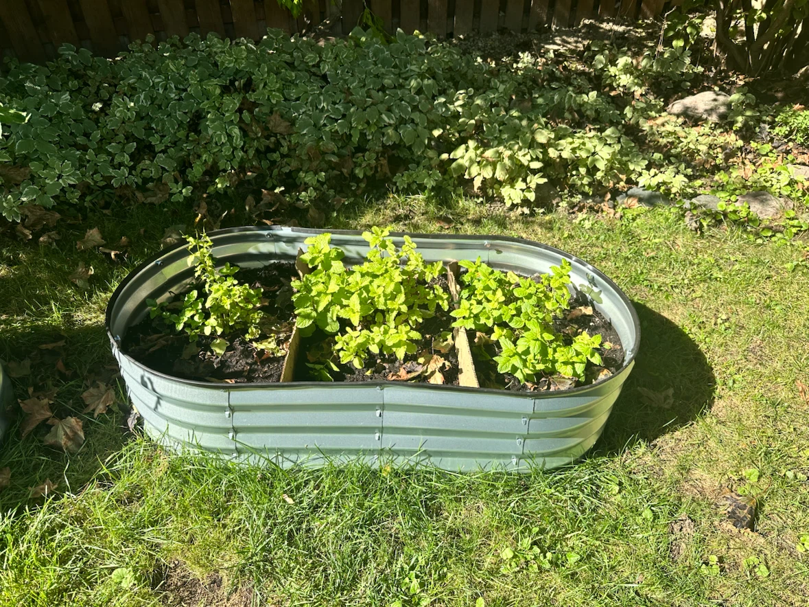 Raised Garden Beds for sale | $40 each - photo 2