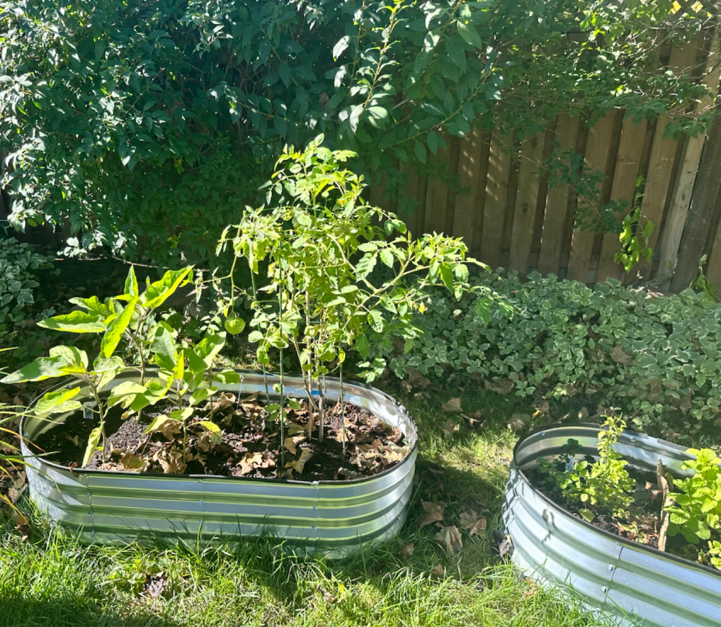 Raised Garden Beds for sale | $40 each - photo 3