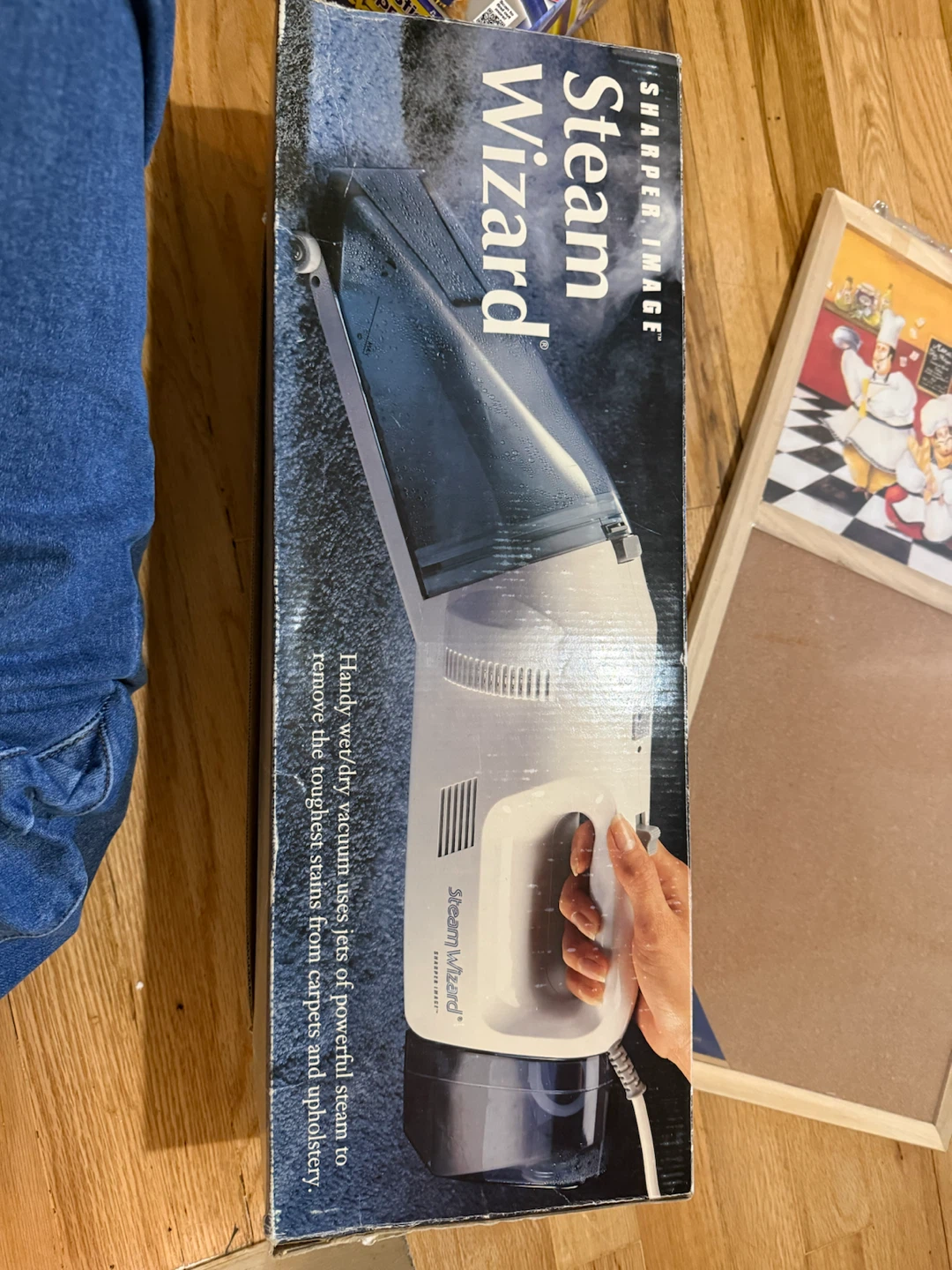 Sharper Image Steam Wizard