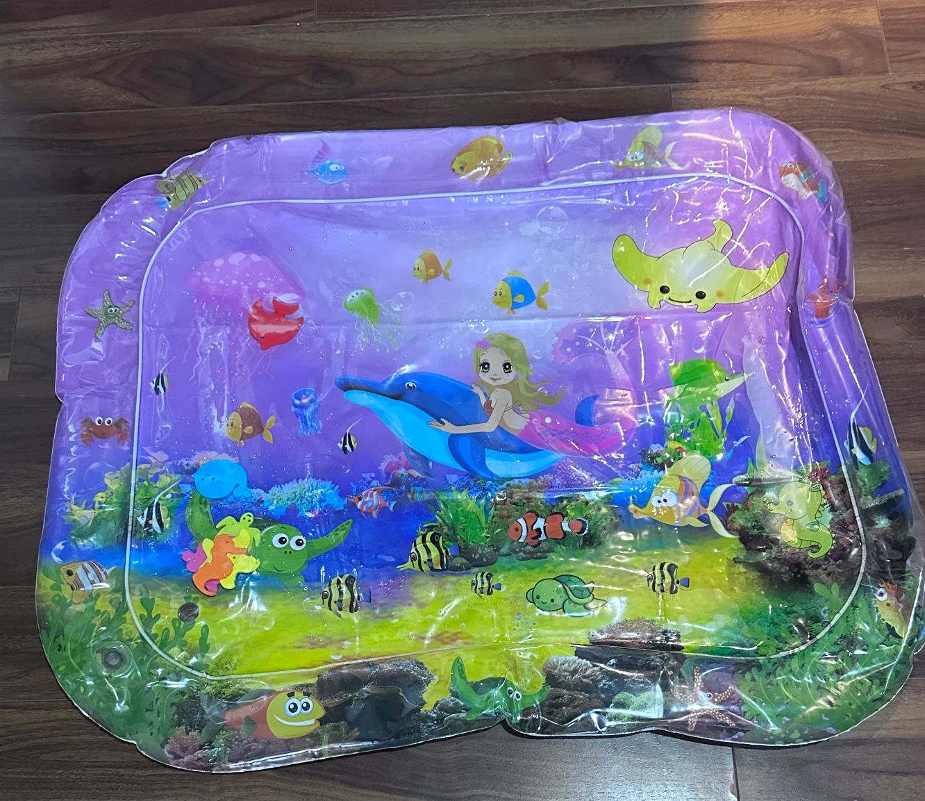 Tummy Time Pack: Discover Roller Drum, Caterpillar & Water Mat - photo 4