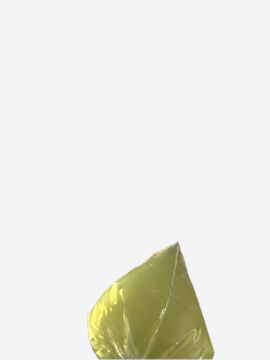 Jelly fruit (5$ a piece) - photo 3