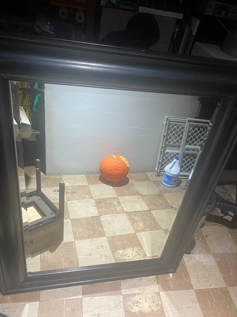 Large Black Framed Wall Mirror