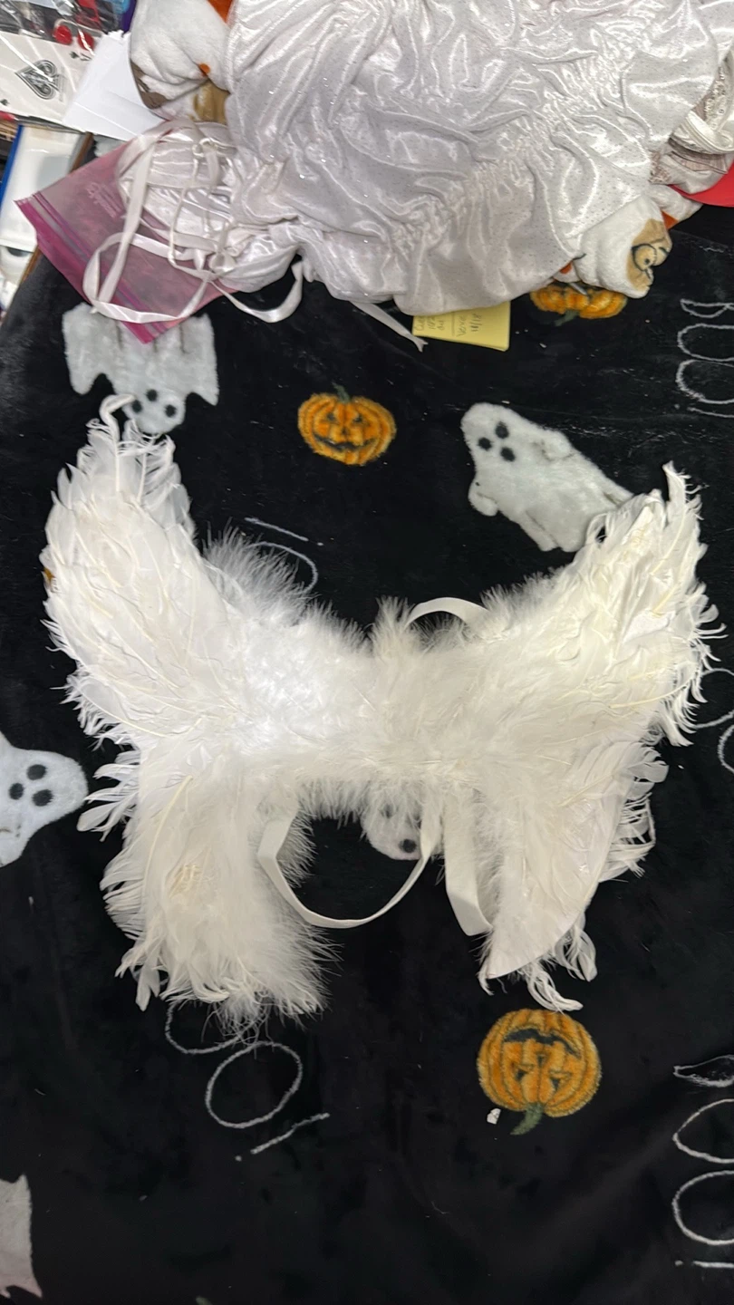 Angel Costume - photo 5
