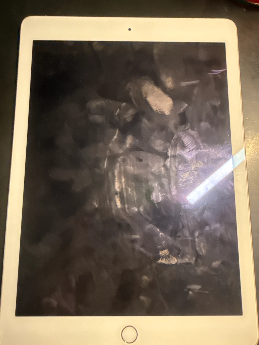 Ipad air 2 silver