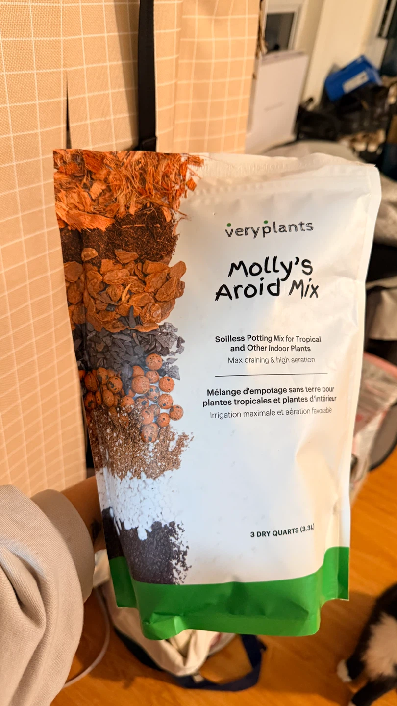 VeryPlants Molly's Aroid Mix 3.3L